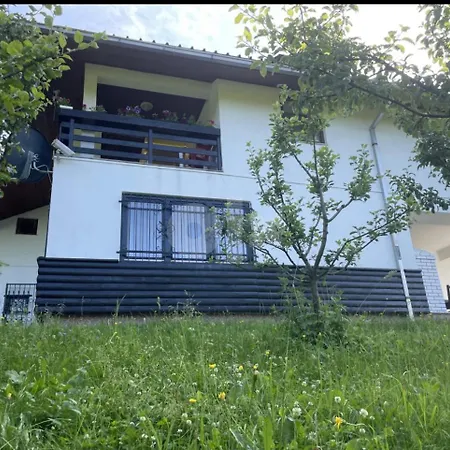 Ponijeri Kakanj