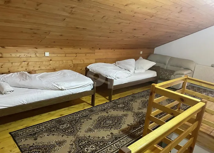 Ponijeri Vila Kakanj